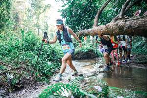 BIB: 
                            <button type="button" onclick="openModal(25463885)" class="btn btn-primary btn-sm float-right btn-popup" data-toggle="modal" data-target=".modal-high-quality">
                        <i class="fas fa-shopping-cart"></i> Add to Cart
                    </button>
                                            <button type="button" onclick="isThisMe(25463885, true)" class="btn btn-success btn-sm float-right btn-popup btn-isme hidden" data-toggle="tooltip" data-placement="bottom" title="นี่คือรูปของคุณใช่ไหม คลิกที่นี่เพื่อเอาเข้าอัลบั้ม">
                        <i class="fas fa-plus"></i> Add to album
                    </button>
                    <button type="button" onclick="isThisMe(25463885, false)" class="btn btn-warning btn-sm float-right btn-popup btn-isnotme hidden">
                        <i class="fas fa-ban"></i> Remove from album
                    </button>